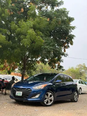Hyundai Elantra 2013 Blue