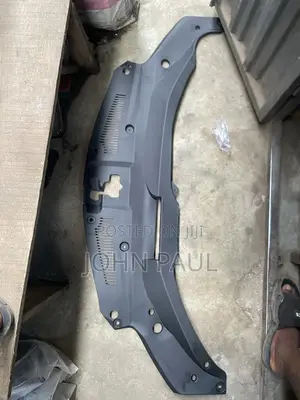 Radiator Plastic Rx 350 2018