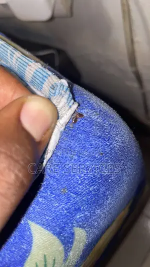 Best Bedbugs / Cockroaches Fumigation Services in Ikorodu