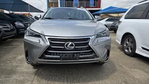 Lexus NX 300 AWD 2019 Gray