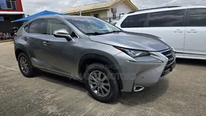 Lexus NX 300 AWD 2019 Gray