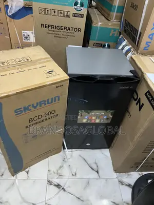 Skyrun 90 Litres Refrigerator BCD-90g for Convenient Food Storage