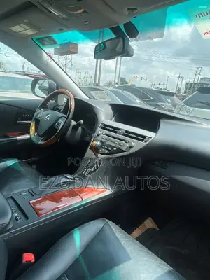 Lexus RX 2010 Gray
