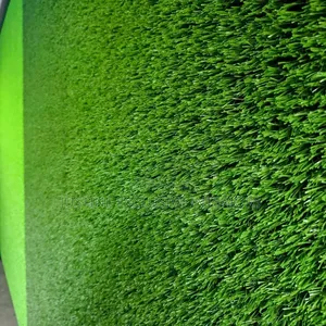 Carpet Grass