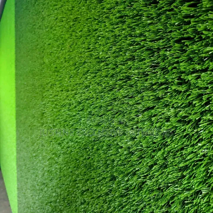 Carpet Grass