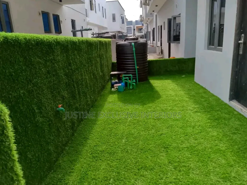 Carpet Grass