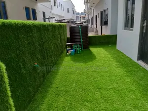 Carpet Grass