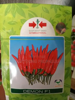 Demon F1 Chilli Pepper