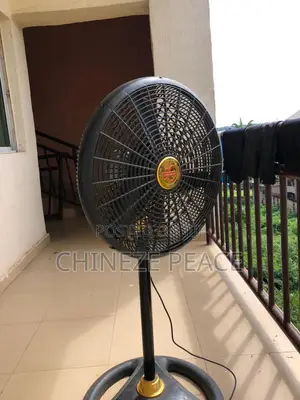 Standing Fan