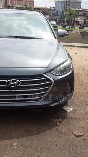 Hyundai Elantra 2017 Blue