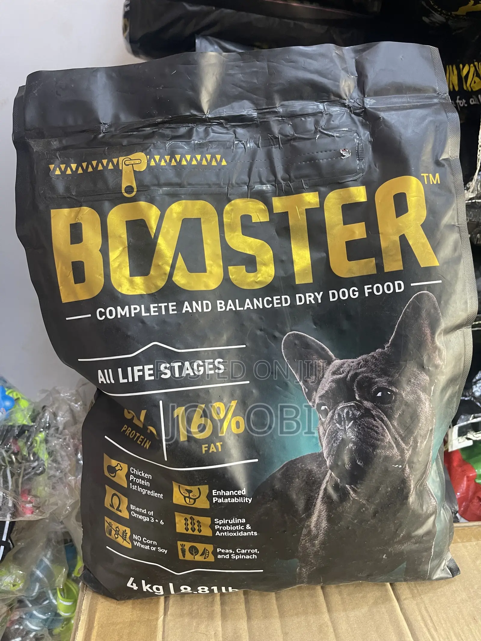 Pet Accessories