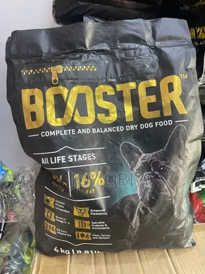 Pet Accessories