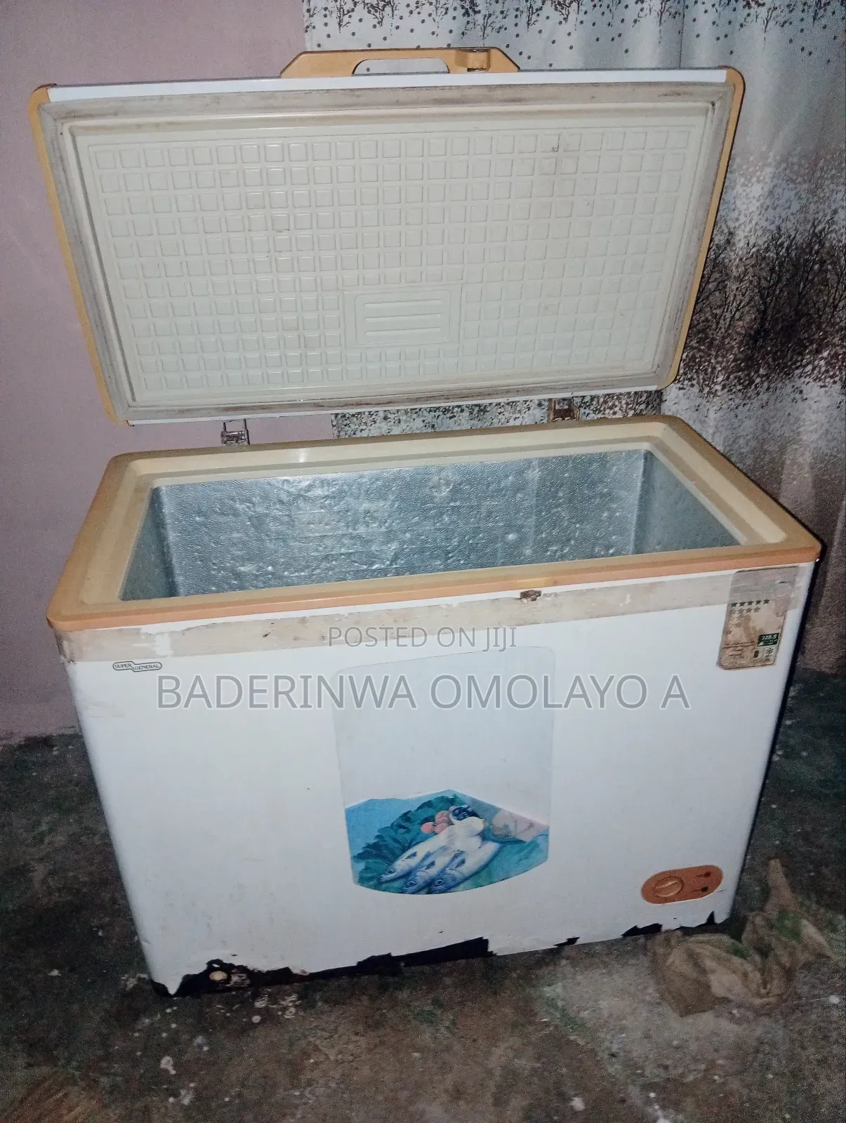 Chest Freezer