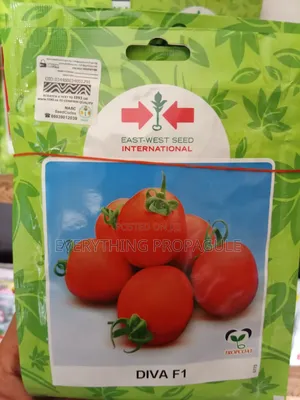 Diva F1 Tomato Seeds
