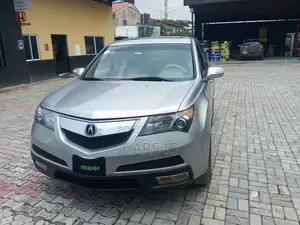 Acura MDX 2010 Silver