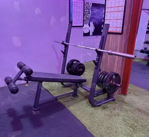 Olympic Decline Bench