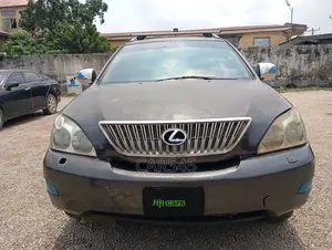 Lexus RX 350 AWD 2009 Gray