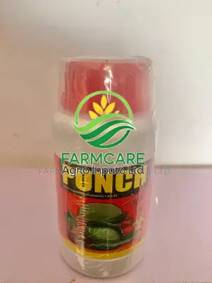 Punch 250ml