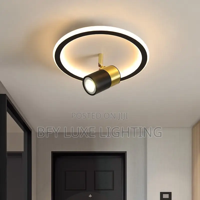 Luxury Modern Round Led Ceiling Light With Adjustable Spotlight