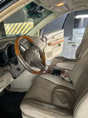 Lexus RX 2009 Black