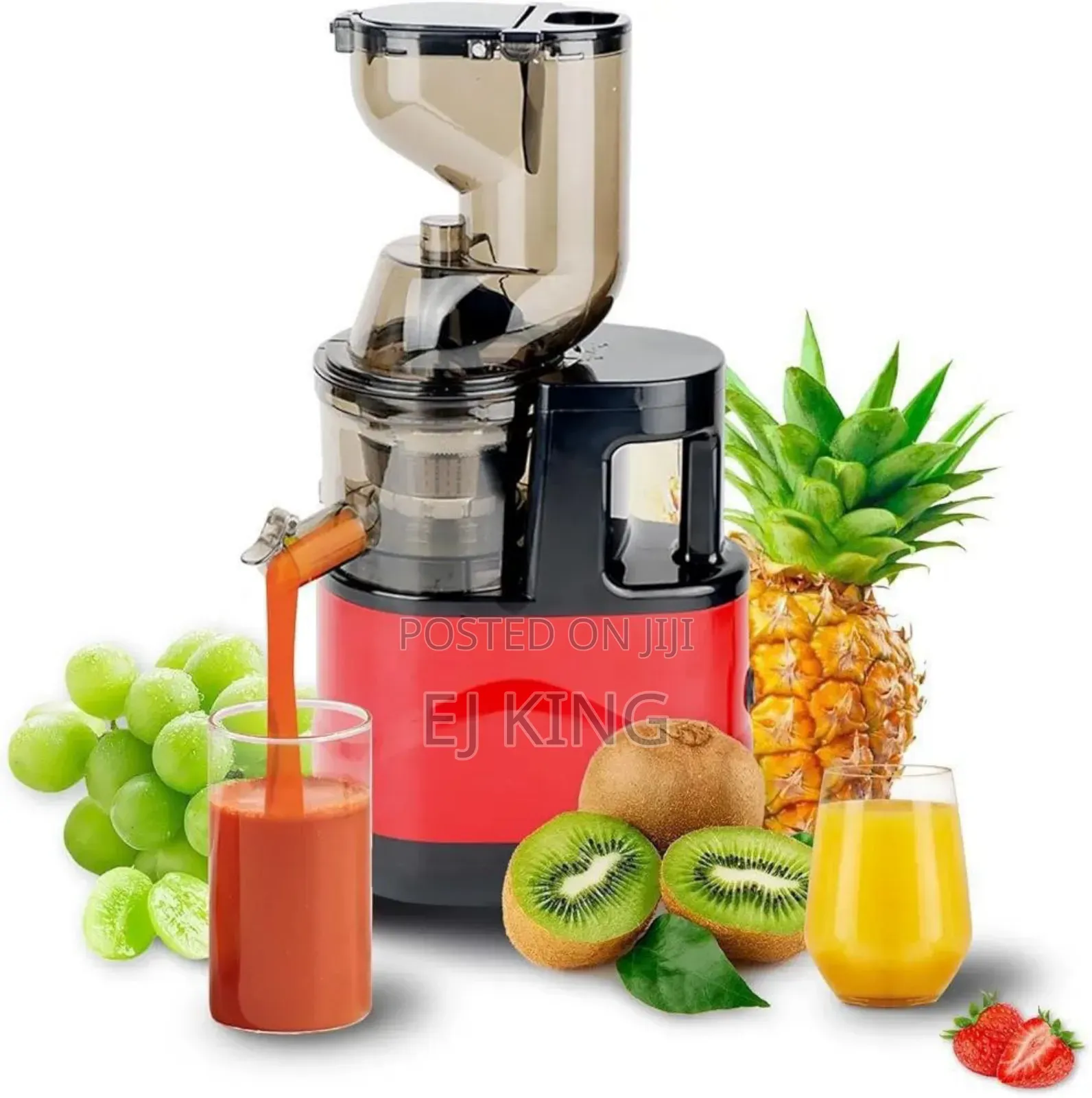 Fruit Juicer