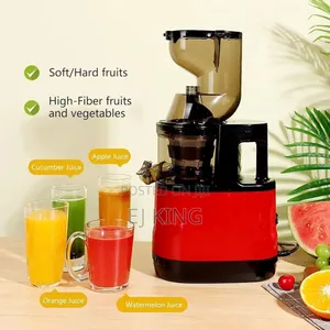 Fruit Juicer