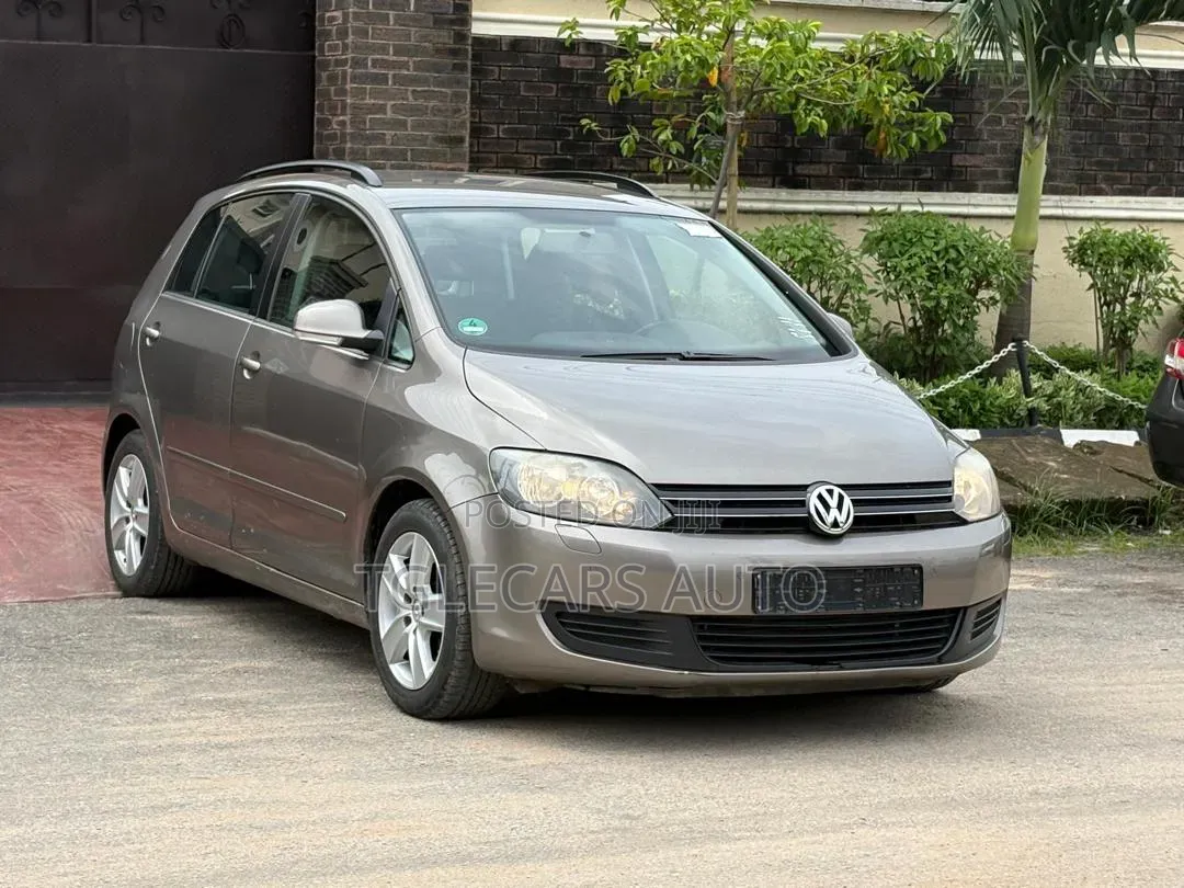Volkswagen Golf 2010 Gray