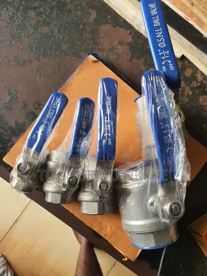 Stainless Ball Valve