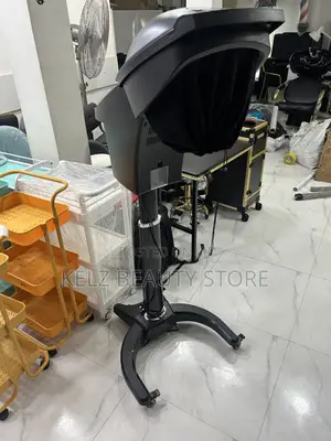 Micro Mist Steamer