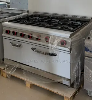 6 Burner Industry Coker and Oven
