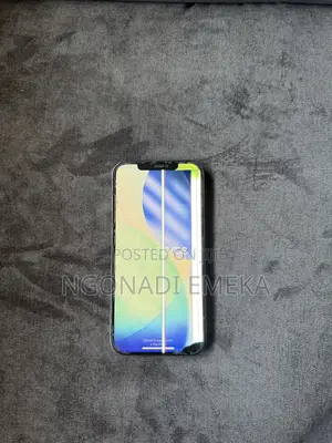 Apple iPhone 12 Pro Max 256 GB Gray