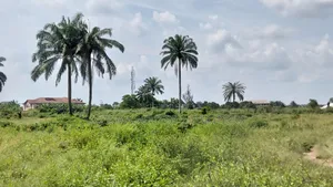 For Sale : 150 Plots At Omuike , Aluu , Rivers State
