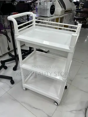 Multipurpose Plastic Trolley