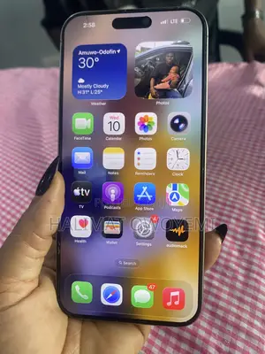 Apple iPhone 16 Pro Max 256 GB Gray