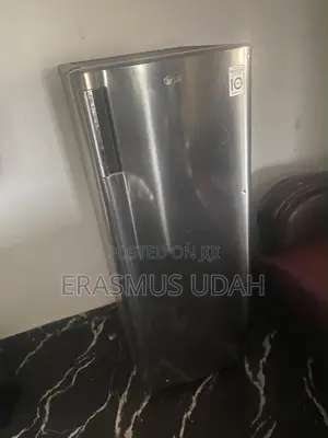 Lg Standing Fridge