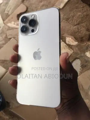 Apple iPhone 13 Pro Max 128 GB Gray