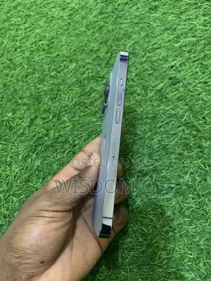 Apple iPhone 13 Pro 512 GB Blue