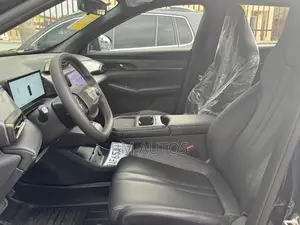 New Dongfeng Glory 2025 Black