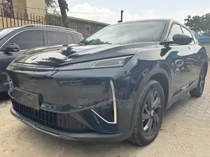 New Dongfeng Glory 2025 Black