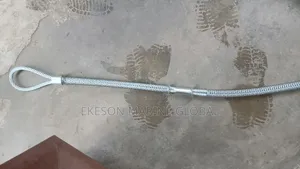 2" Hose Whip Check