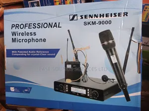 Lapel and Headset Microphone