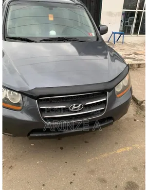 Hyundai Santa Fe 2008 Gray