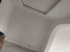 Professional Wall Screeding (Putty, Pop Black Cement)