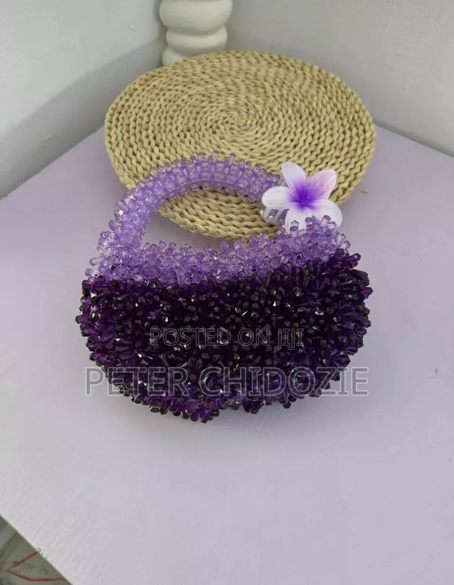 Luxury Beaded Bag
