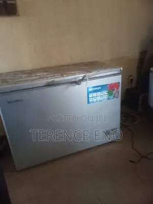 Fridge Skyrun