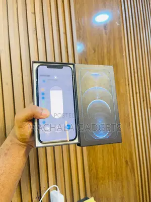 Apple iPhone 12 Pro Max 128 GB Blue