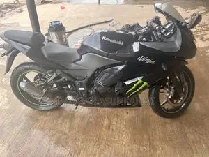Kawasaki 2010 Black