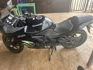 Kawasaki 2010 Black