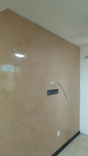 Luxury Stucco Decorative Wall Finishes in Lagos– Premium Design Look