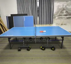 Outdoor Fat Tyre (Striker Butterfly) Table Tennis Board